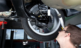 “閑地”變“活地” 重煥生機